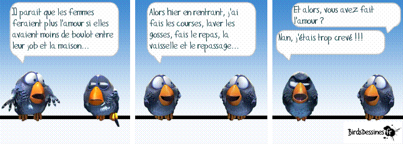 humour Oiseau10