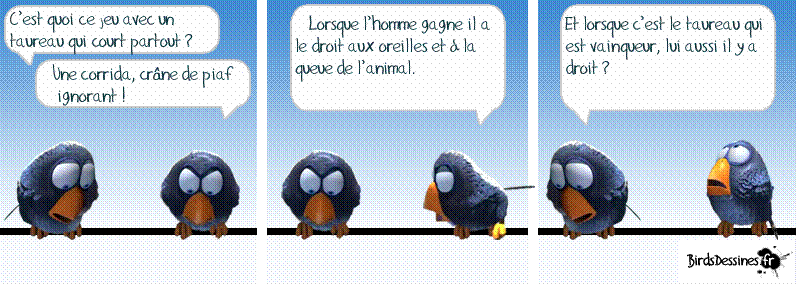 humour - Page 2 Oiseau11