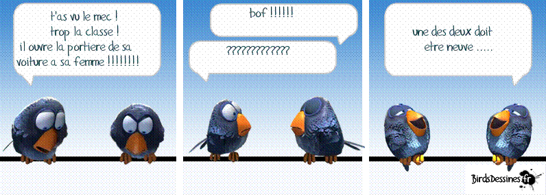 humour - Page 3 Oiseau15