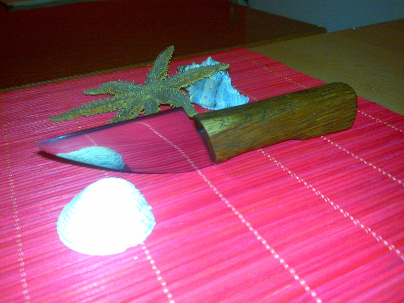Moji radovi! 410