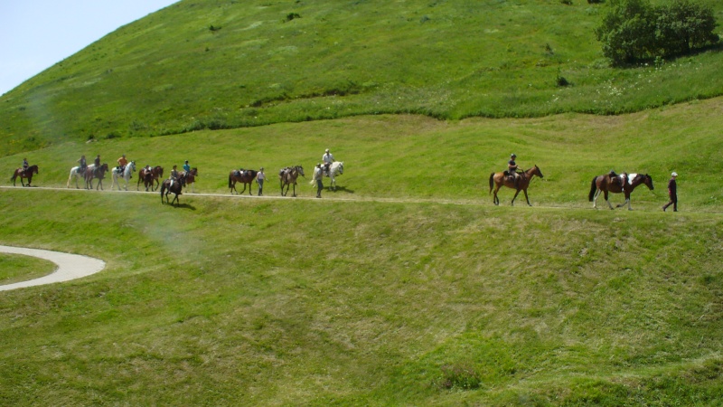 Les cavalcades Pèlerines 2013 Amandi10