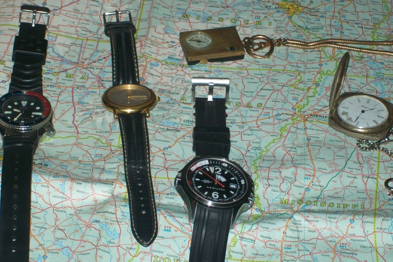 Quel bracelet pour une Hamilton Khaki Navy GMT ? 100_5715