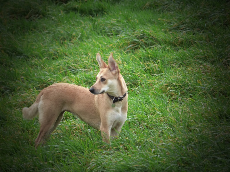 Mes toutes premières photos avec le FZ200 P1000012