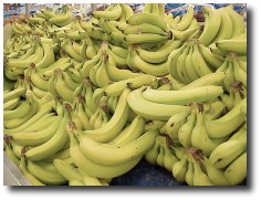 Less bienfaits de la banane Alimen13