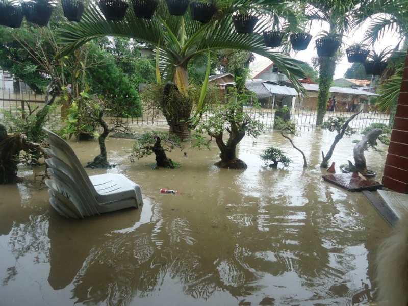 Flooded Bonsai Terrac11