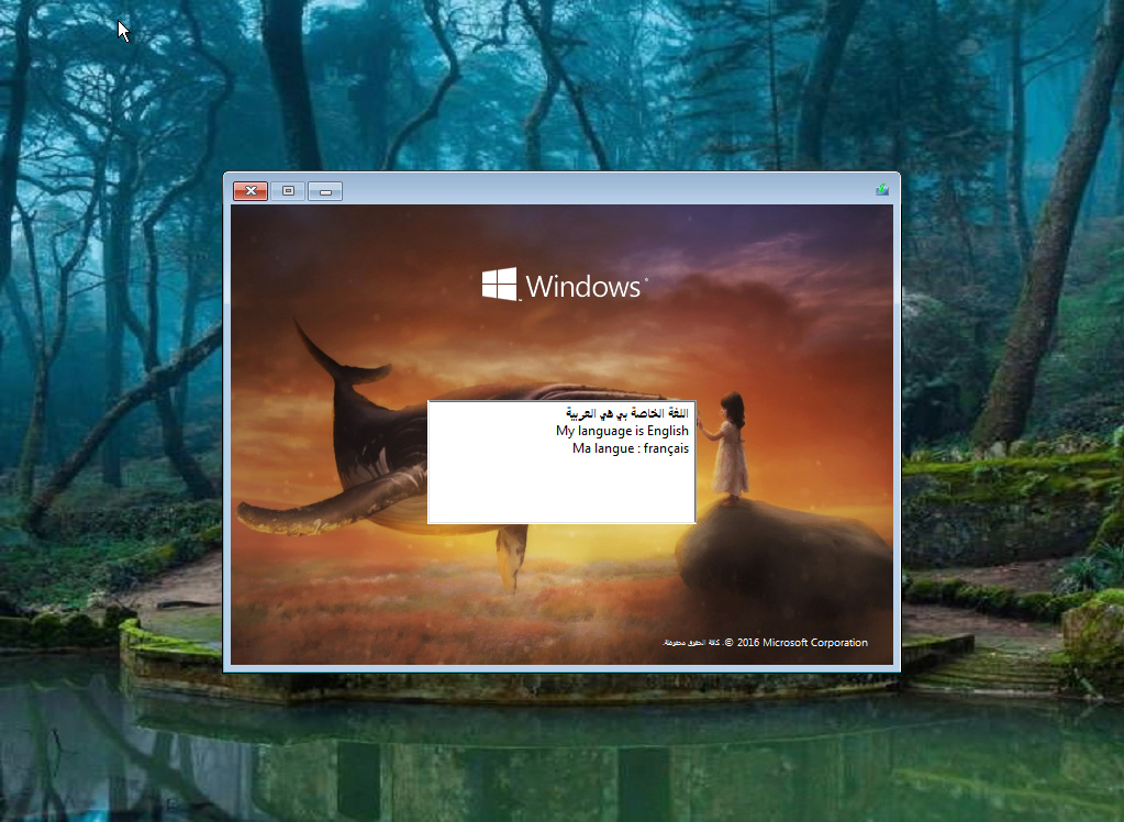 النسخة المخففة السريعة Windows 10 Mini 3x1 Ar-En-Fr Build 14393 : بعدة لغات 1343