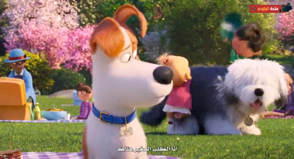 حصريا فيلم الاينمي والمغامرة والكوميدي المنتظر The Secret Life of Pets 2 (2019) 720p WEB-DL مترجم بنسخة الويب ديل 1365