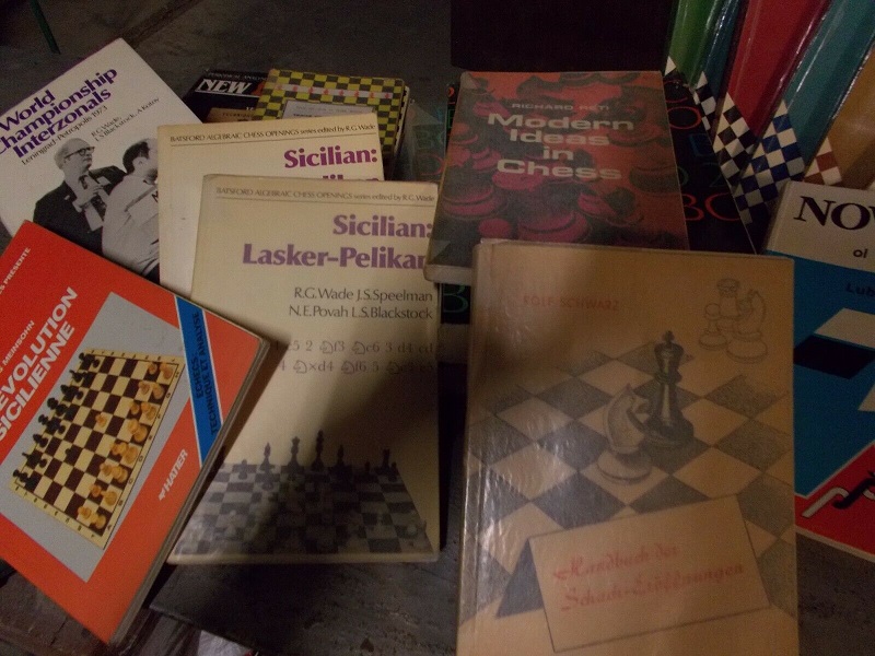 [CHESS BOOKS] Chess books in English language! Lot_3110