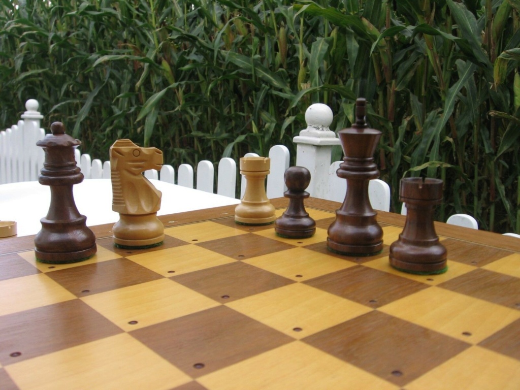 Pièces pour Ordinateur d'échecs Mephisto Exclusive, savant de bois de rose... Pizoce16