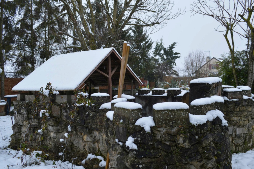 Z-Le jardin sous la neige 20180222