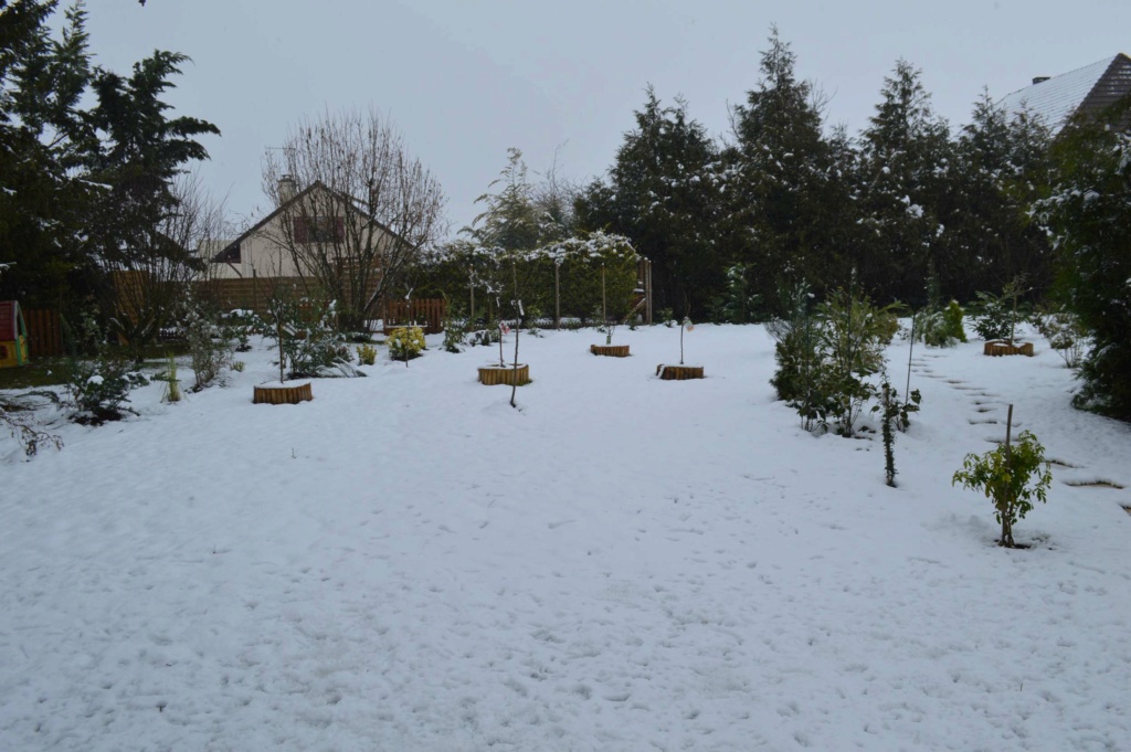 Z-Le jardin sous la neige 20180226