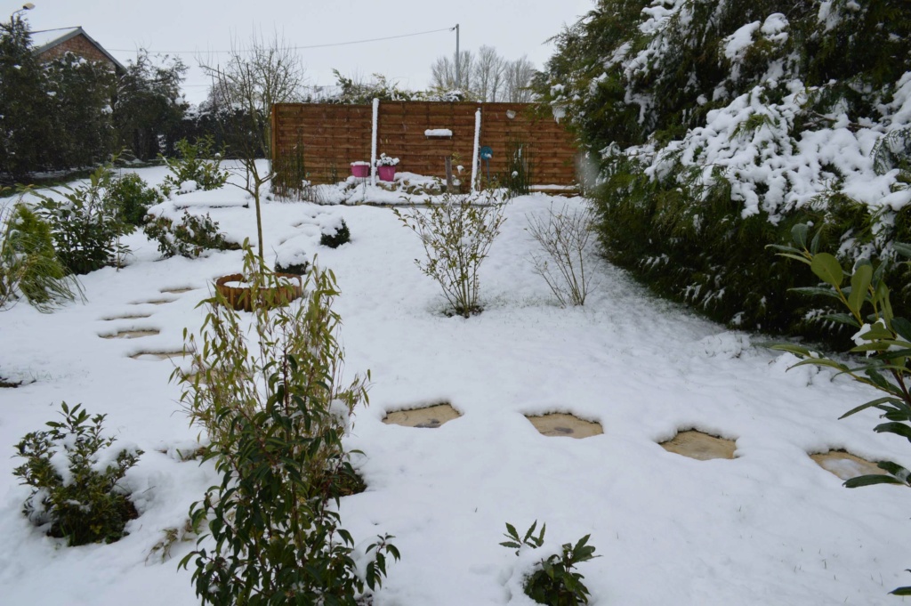 Z-Le jardin sous la neige 20180230