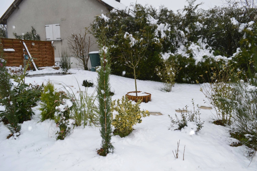 Z-Le jardin sous la neige 20180234