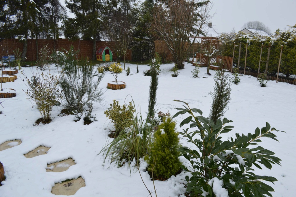 Z-Le jardin sous la neige 20180246