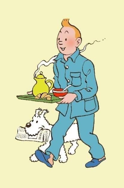 Les Aventures de Tintin constituent une série de bandes dessinées créée par 43147510