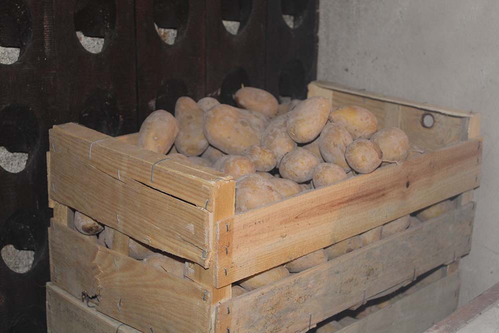Pommes de terre Lp_1611
