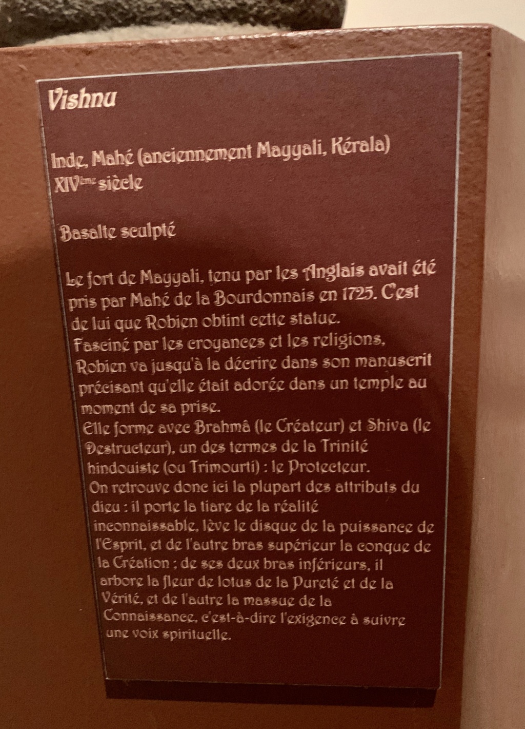 Le cabinet de curiosités du marquis de Robien 1caad510