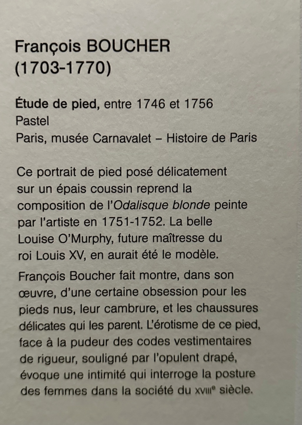 Exposition : Pastels, entre ligne et couleur. Musée Cognacq-Jay (12 oct. 23 au 11 Fev. 24) Img_6745