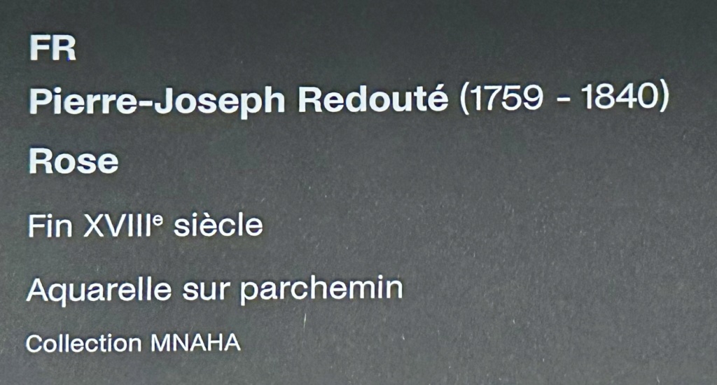 redouté - Pierre-Joseph Redouté, « Dessinateur et peintre du cabinet de la Reine » Img_7514