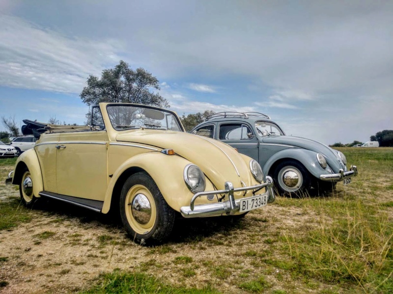 Noja Aircooled 2019 (12-13 oct) (FOTOS) Img_2019