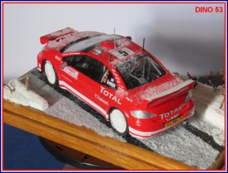 PEUGEOT 307 WRC  HELLER 1/24ème 307wrc12