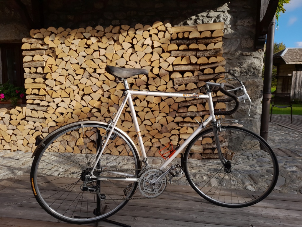 PEUGEOT VINTAGE PFN 13 ? Gentleman 20221110