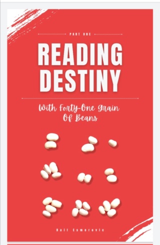 Buy the book: READING DESTINY WITH FORTY-ONE GRAIN OF BEANS Screen11