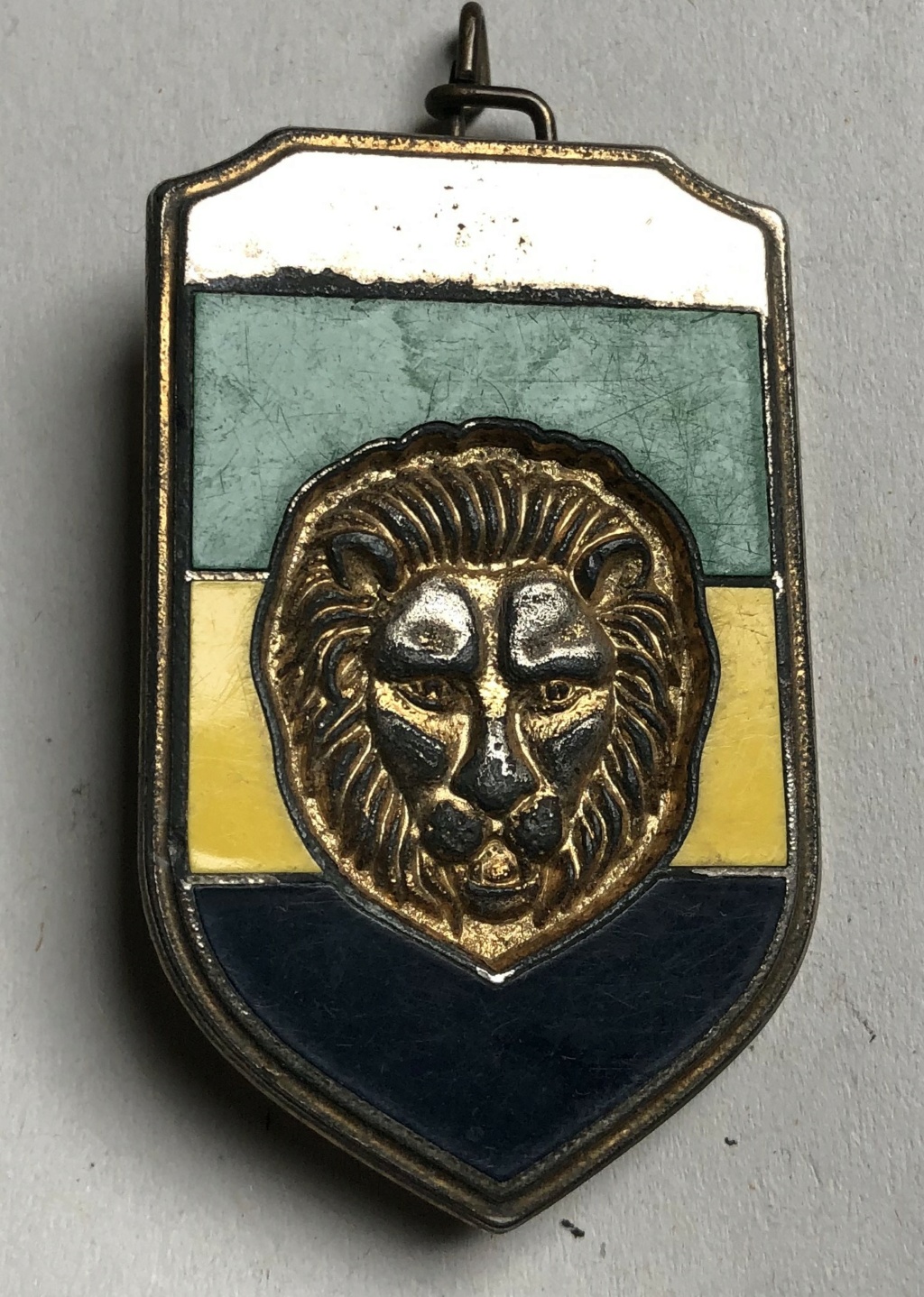 insigne tête de lion, drapeau vert jaune noir Img_6427