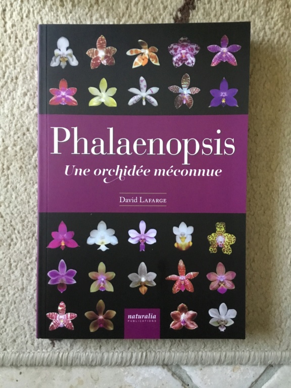 Phalaenopsis une Orchidée méconnue - David Lafarge 2f486610