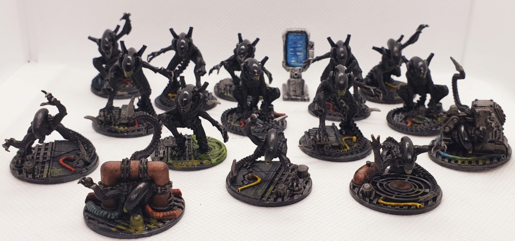 Torgan's legions of minis...  - Page 16 20200433