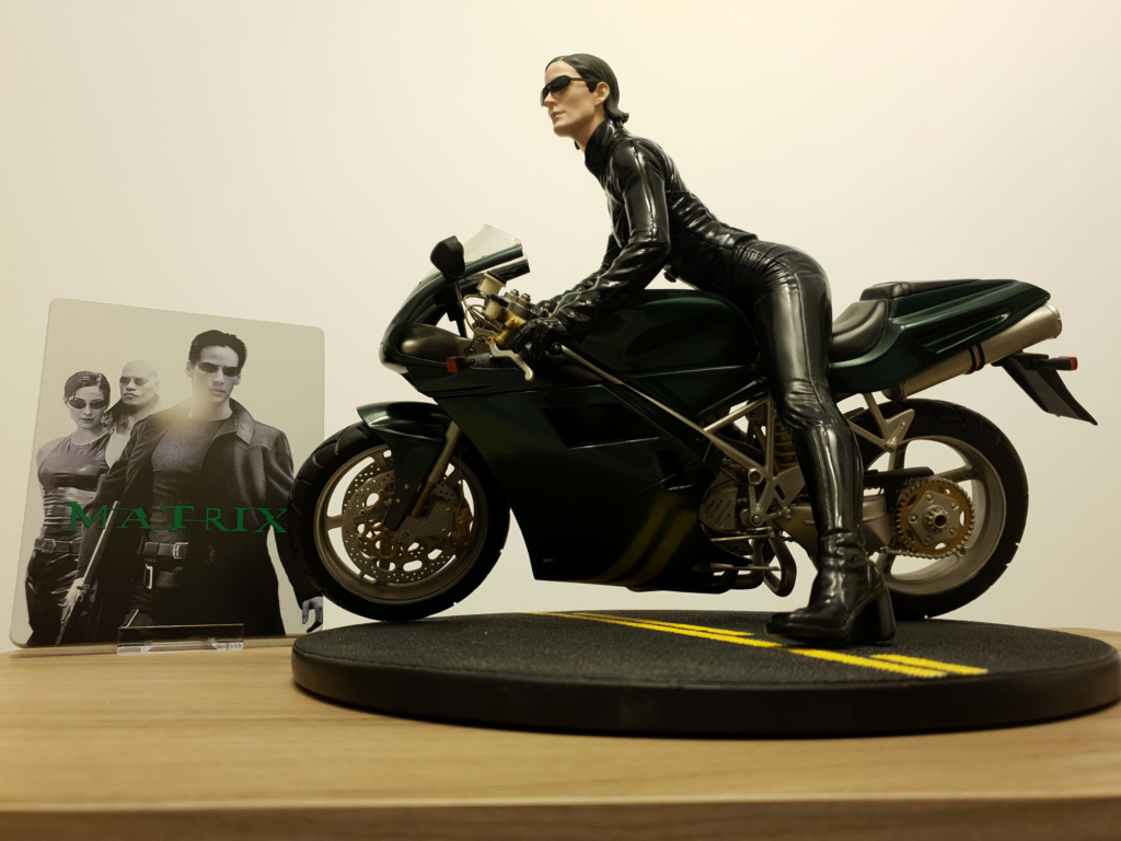 Collection n° 540 : Castor -  Trinity on Bike 1/6 (Gentle Giant) - Page 18 Img1110