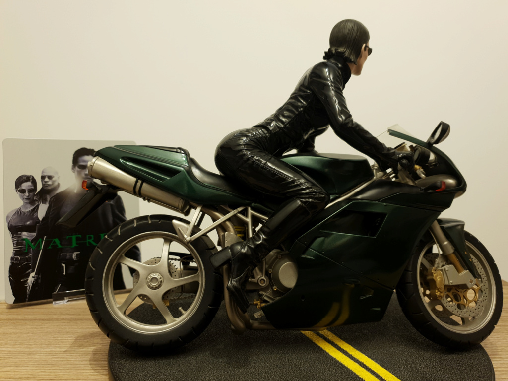 Collection n° 540 : Castor - Trinity on Bike 1/6 (Gentle Giant) - Page 18 Img1710
