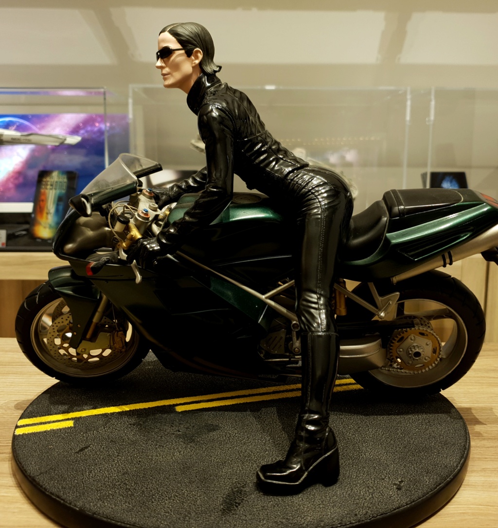 Collection n° 540 : Castor - Trinity on Bike 1/6 (Gentle Giant) - Page 18 Img2710