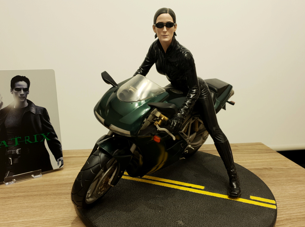 Collection n° 540 : Castor - Trinity on Bike 1/6 (Gentle Giant) - Page 18 Img310