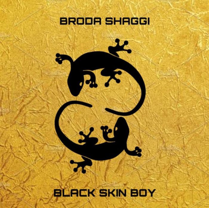 Broda Shaggi – Black Skin Boy | 9Jatechs Music Mp3 Broda-13