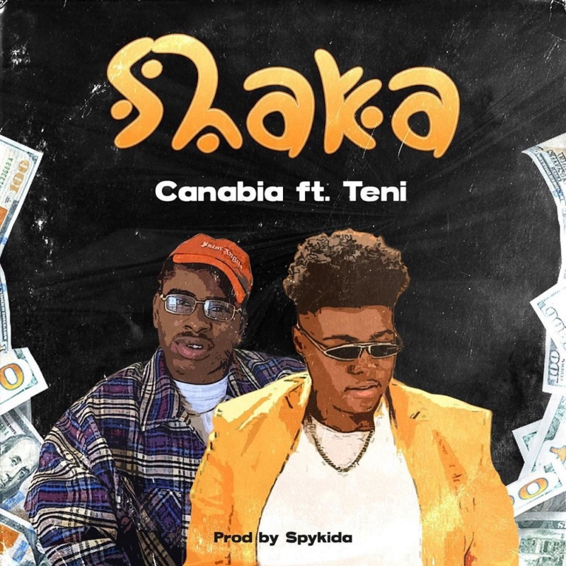 TENI - [Music] Canabia – Shaka ft. Teni | Mp3 Canabi10