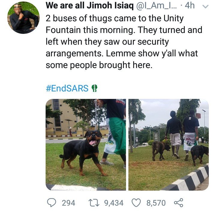 EndSars - Thugs Allegedly Back Down After Abuja #EndSars Protesters Brought Fierce Dogs To Protect Them Endsar20