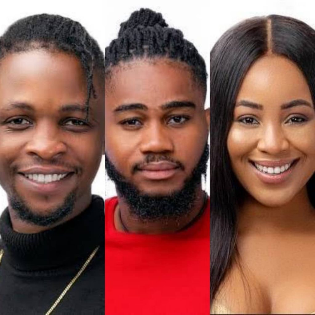 2020 BBNaija: Erica May Be Acting – Praise Advises Laycon Over Love Triangle Erica10