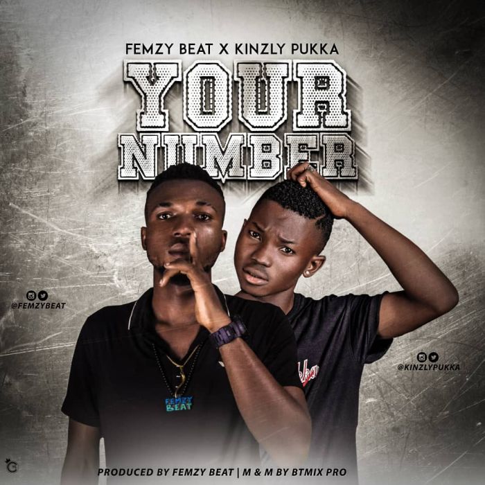 [Download Music] FemzyBeat x Kinzly Pukka – Your Number Img-2024