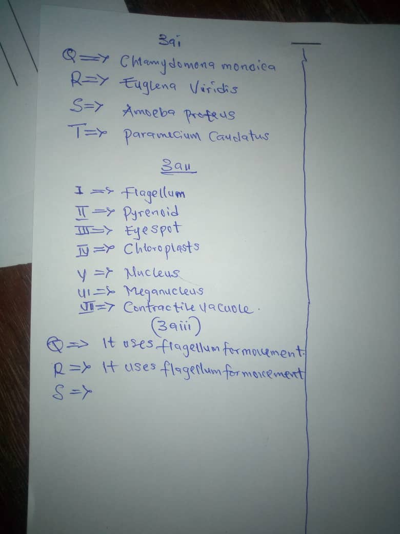 2018 Nov/Dec Neco Gce Biology Practical Questions and Answers  Img-2153