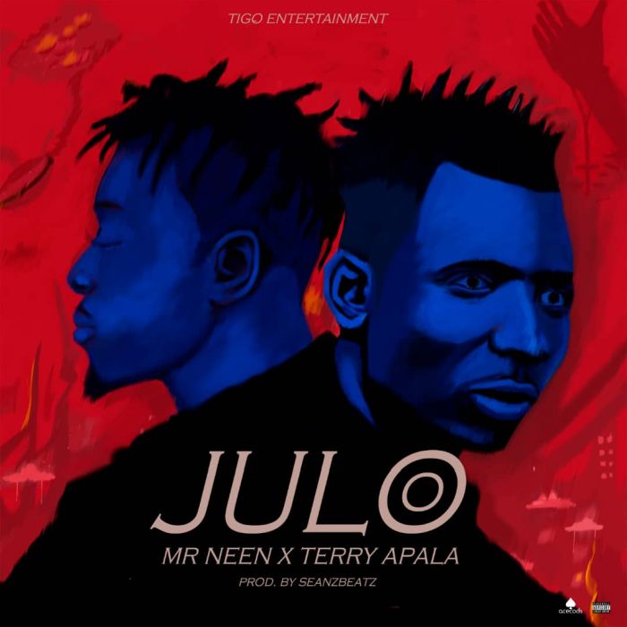 Mr Neen x Terry Apala – Julo | 9Jatechs Music Mp3  Img-2163