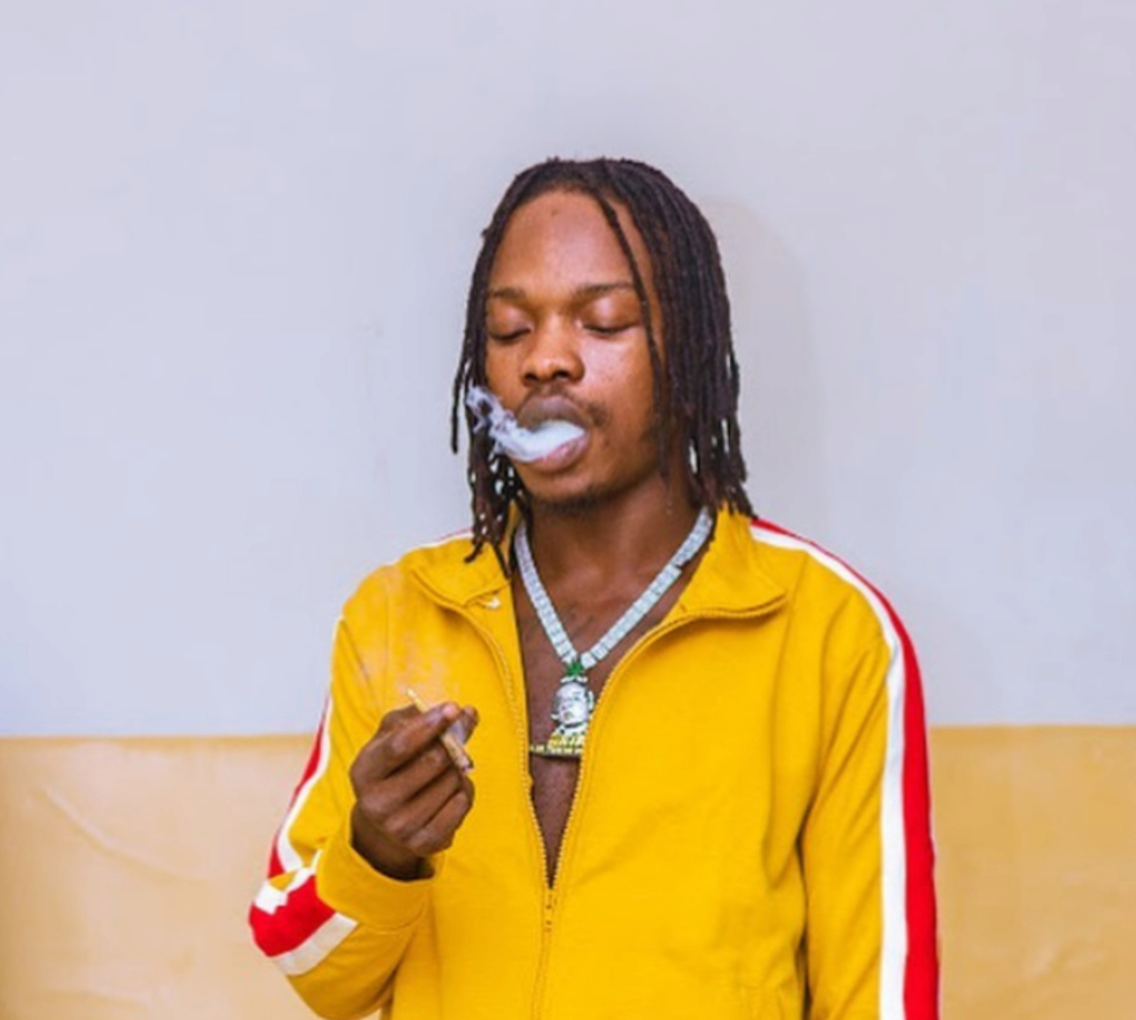 Nigerian Government Lifts Ban On Airline That Flew Naira Marley To Abuja For Concert Insho401