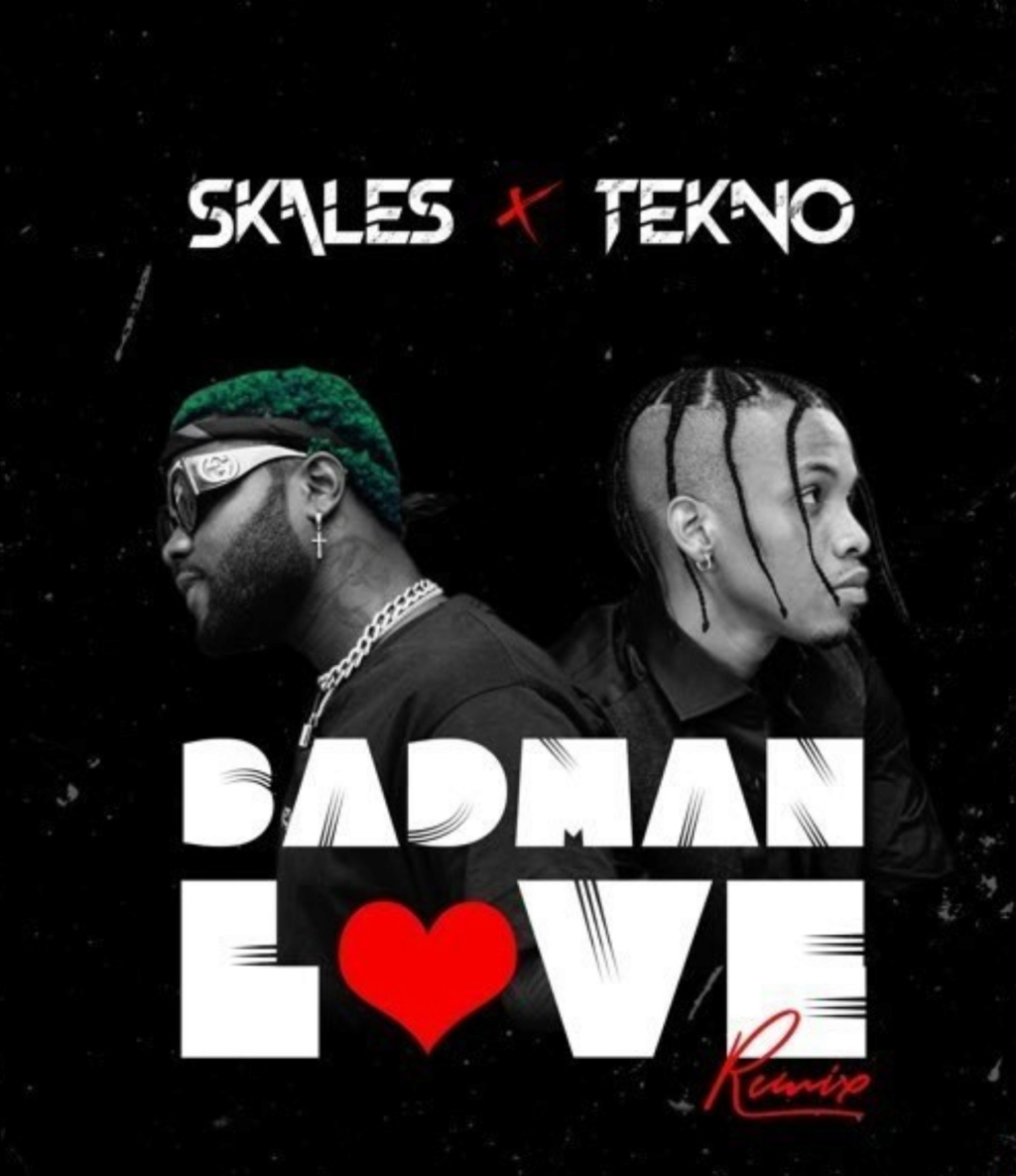 Skales - [Music] Skales – Badman Love (Remix) ft. Tekno | Download Mp3 Insho514