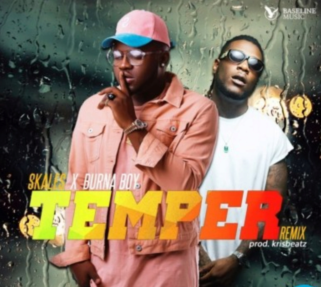 [INSTRUMENTAL] Skales – Temper (Remix)  ft. Burna Boy | Download Mp3 Insho564