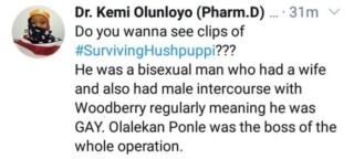 Hushpuppi And Woodberry Are Entangled In A Gay Relationship – Kemi Olunloyo Reveals Kemi-o46