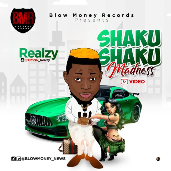 [Download Music] Shaku Shaku Madness By Realzy     Realzy10