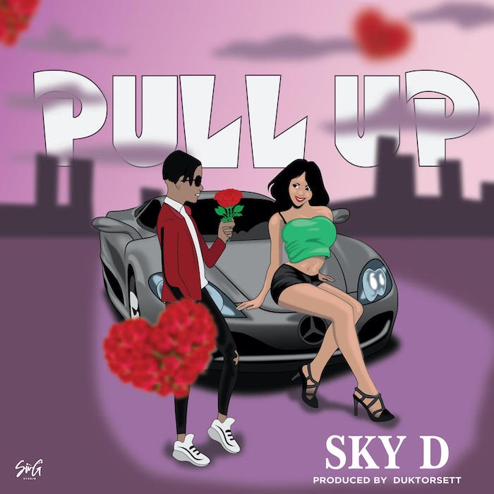 [Music] Sky D – Pull Up | Mp3 Unname48