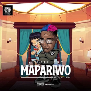 Music - [Music] Zinoleesky – Mapariwo | Mp3 Zinole17