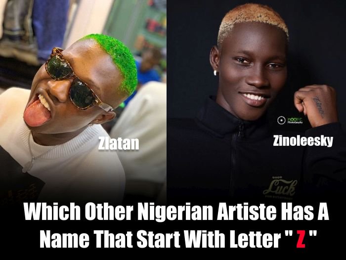 Apart From Zlatan & Zinoleesky – Which Other Nigerian Artiste Has A Name That Start With Letter “Z” Zz10