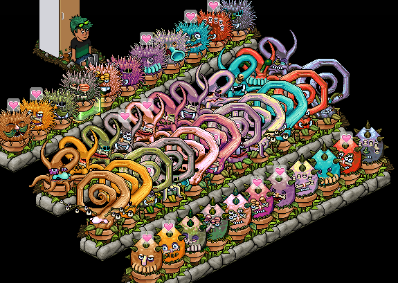 Habbo - Sfida community Ritornano le Piante Mostruose su Habbo Screen10